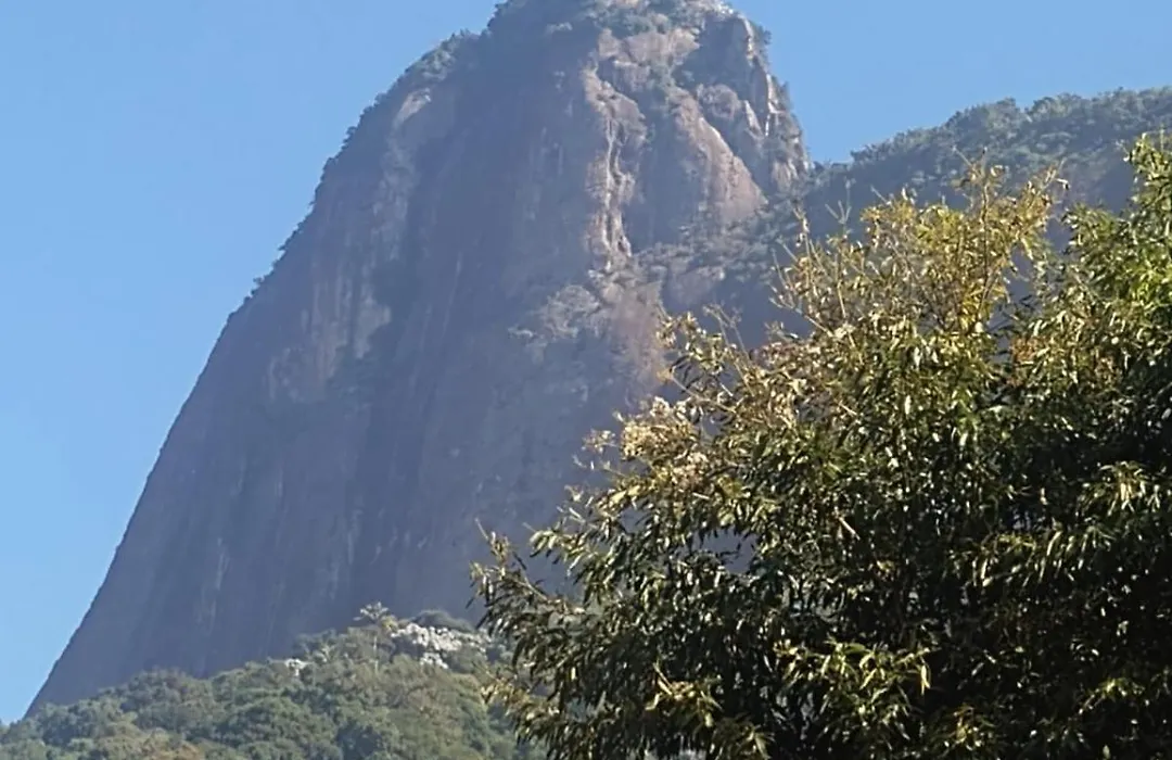 Apartamento Parque Jardim Europa-1